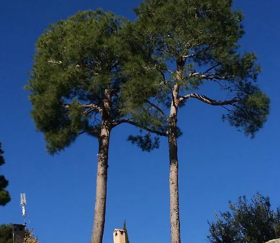 Le Petit Vue 70m2 Piscine Cassis